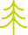 Carbon and Forestry